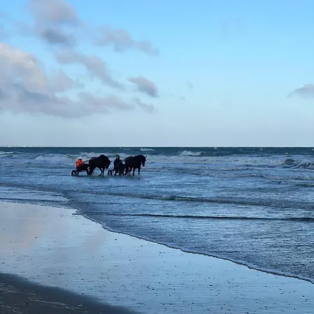 Appartement Domaine Du Yearling Touques