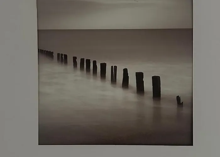 Domaine Du Yearling *