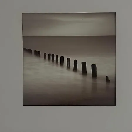 Domaine Du Yearling *